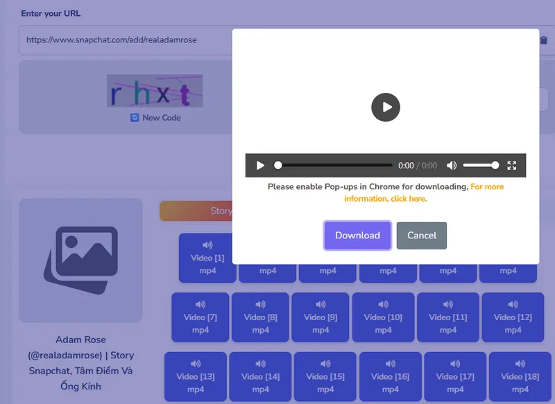 Snapchat Video Downloader