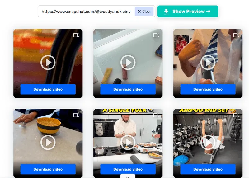 Snapchat Video Downloader