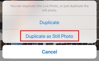 turn live photos into still photos