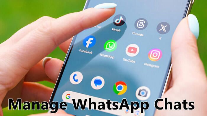 manage whatsapp chats